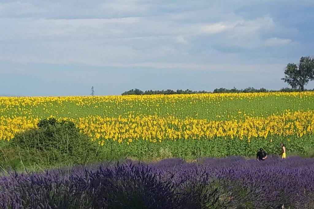 Lou Paradiu Du Verdon Allemagne-en-Provence Ngoại thất bức ảnh